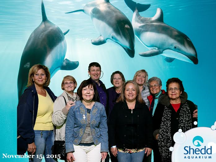 Tritons at the Shedd